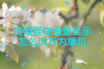 传奇怪物血量显示怎么以万为单位