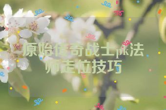 原始传奇战士pk法师走位技巧