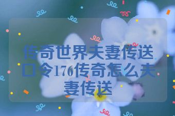 传奇世界夫妻传送口令176传奇怎么夫妻传送