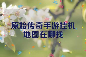 原始传奇手游挂机地图在哪找