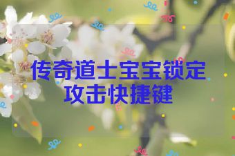 传奇道士宝宝锁定攻击快捷键