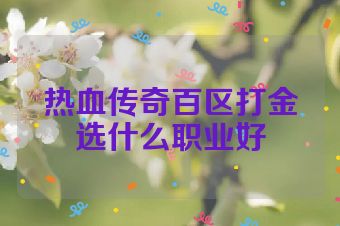热血传奇百区打金选什么职业好