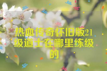 热血传奇怀旧版21级道士在哪里练级的