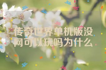 传奇世界单机版没网可以玩吗为什么