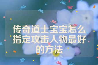 传奇道士宝宝怎么指定攻击人物最好的方法