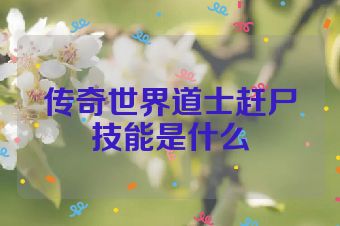传奇世界道士赶尸技能是什么