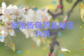 原始传奇装备掉落列表
