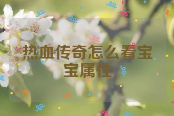 热血传奇怎么看宝宝属性