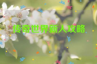 传奇世界新人攻略