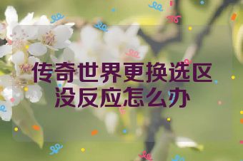 传奇世界更换选区没反应怎么办