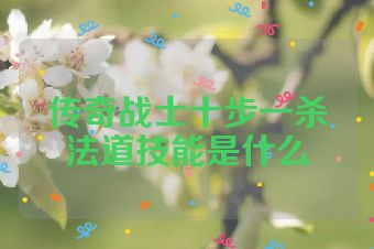 传奇战士十步一杀法道技能是什么