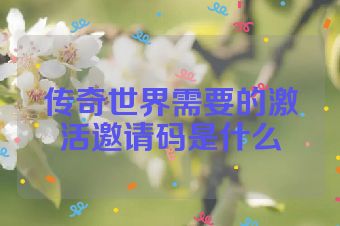 传奇世界需要的激活邀请码是什么