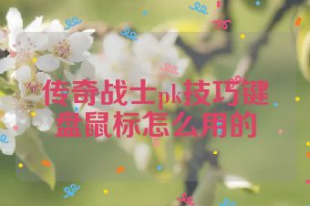传奇战士pk技巧键盘鼠标怎么用的