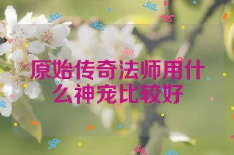 原始传奇法师用什么神宠比较好