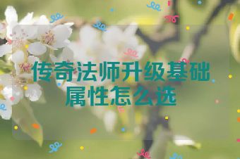 传奇法师升级基础属性怎么选