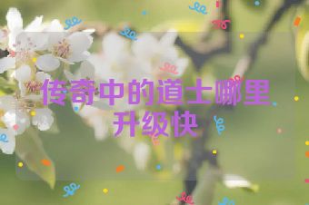 传奇中的道士哪里升级快