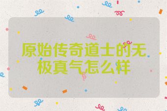 原始传奇道士的无极真气怎么样