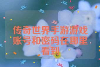 传奇世界手游游戏账号和密码在哪里看到