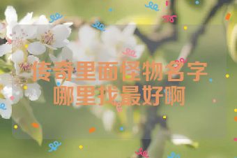传奇里面怪物名字哪里找最好啊