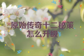 原始传奇十二秘策怎么升级