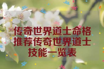 传奇世界道士命格推荐传奇世界道士技能一览表