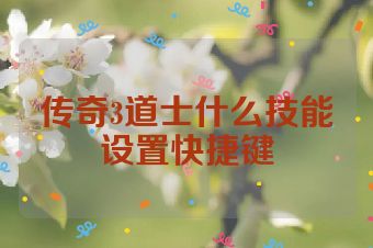传奇3道士什么技能设置快捷键