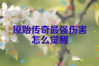 原始传奇最强伤害怎么觉醒