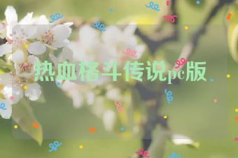 热血格斗传说pc版
