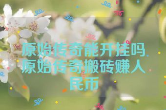 原始传奇能开挂吗原始传奇搬砖赚人民币
