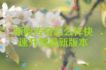 原始传奇怎么样快速升级最新版本