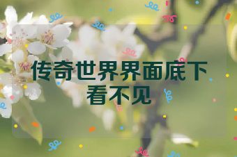 传奇世界界面底下看不见
