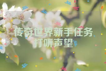 传奇世界新手任务打听声望