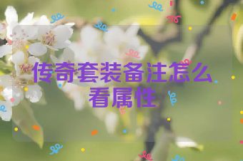 传奇套装备注怎么看属性