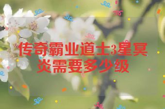 传奇霸业道士3星冥炎需要多少级
