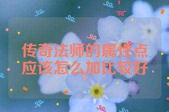 传奇法师的属性点应该怎么加比较好