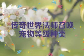 传奇世界法师召唤宠物等级种类