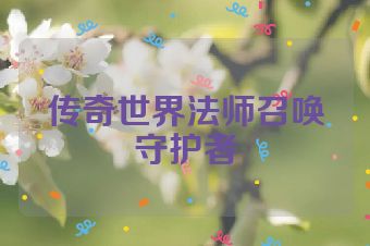 传奇世界法师召唤守护者