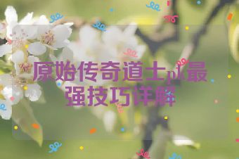 原始传奇道士pk最强技巧详解
