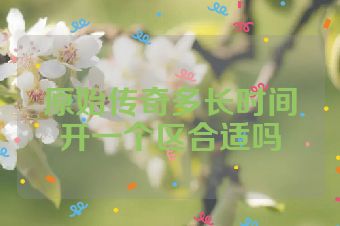 原始传奇多长时间开一个区合适吗