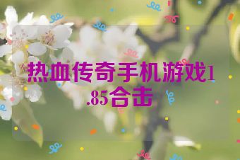 热血传奇手机游戏1.85合击