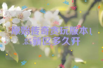 原始传奇贪玩版本1.85新区多久开