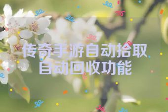传奇手游自动拾取自动回收功能