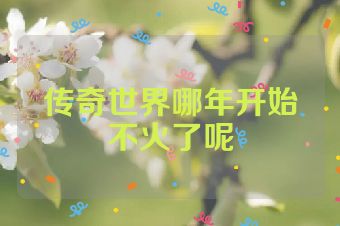 传奇世界哪年开始不火了呢
