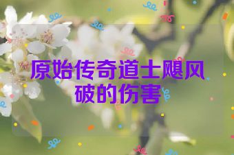 原始传奇道士飓风破的伤害