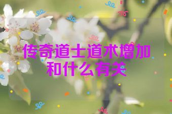 传奇道士道术增加和什么有关