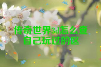 传奇世界3d怎么查自己玩过的区