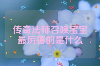 传奇法师召唤宝宝最厉害的是什么