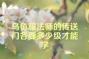 乌龟服法师的传送门各要多少级才能学
