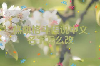 热血格斗传说中文名字怎么改