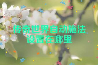 传奇世界自动施法设置在哪里